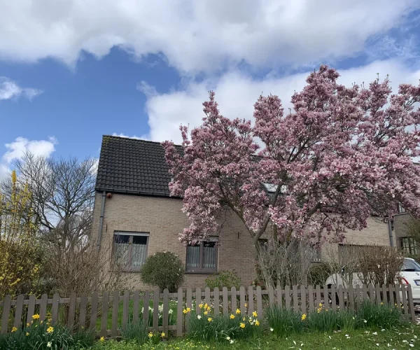 MaBulleZen-Maison-1
